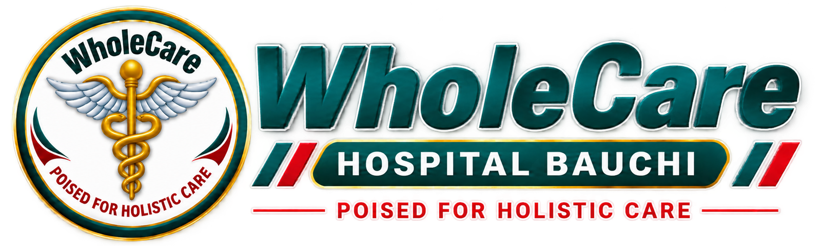 wholecare hospital bauchi logo site